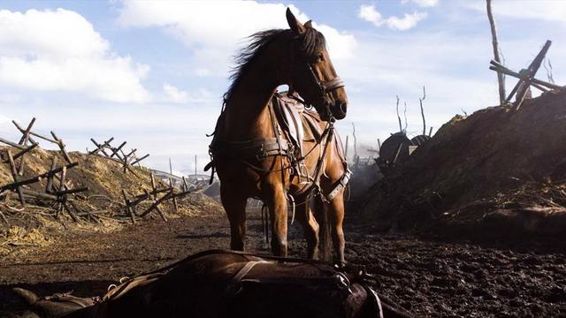 Души прекрасные порывы: фильмы о лошадях